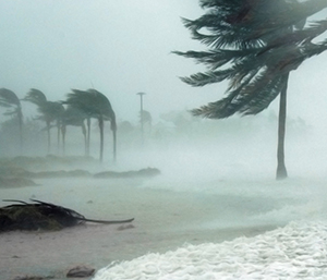 Strong wind from the ocean blowing water and palm trees.