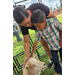 A woman and a little boy petting a goat.