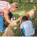 Kids in a pen with goats.