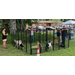 Longshot of people surrounding a pen of goats.